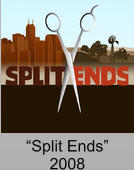 “Split Ends” 2008